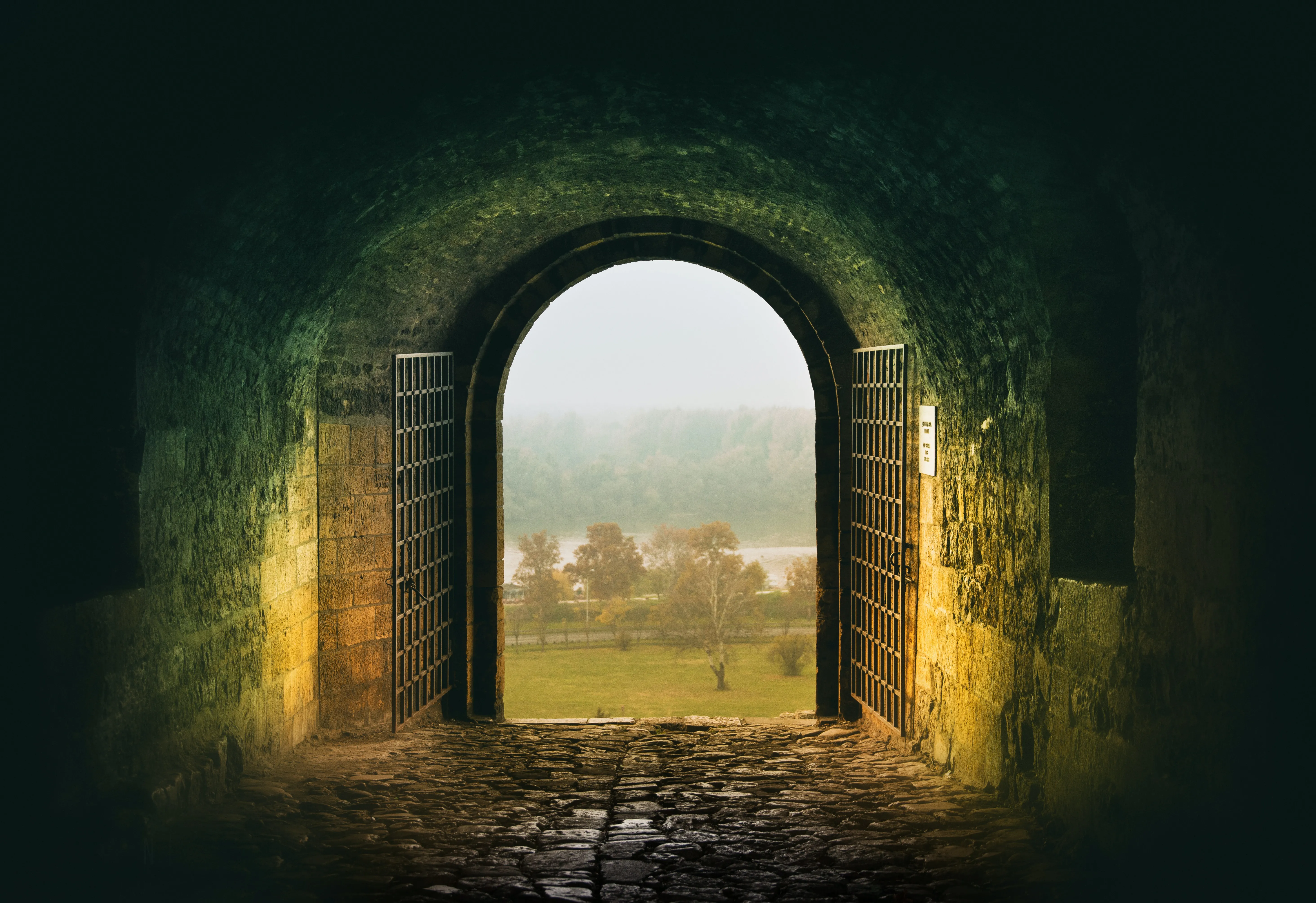 view from dark tunnel through an open gate to a grassy sunlit field